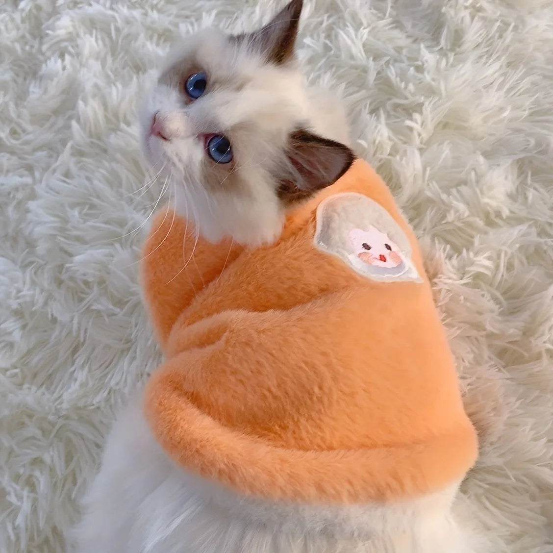 KittenCuddle™ – Warm Winter Clothes & Sweaters for Small Pets