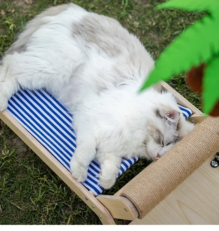 CocoTree™ Cat Tower – Fun Coconut Island Climbing Frame for Cats