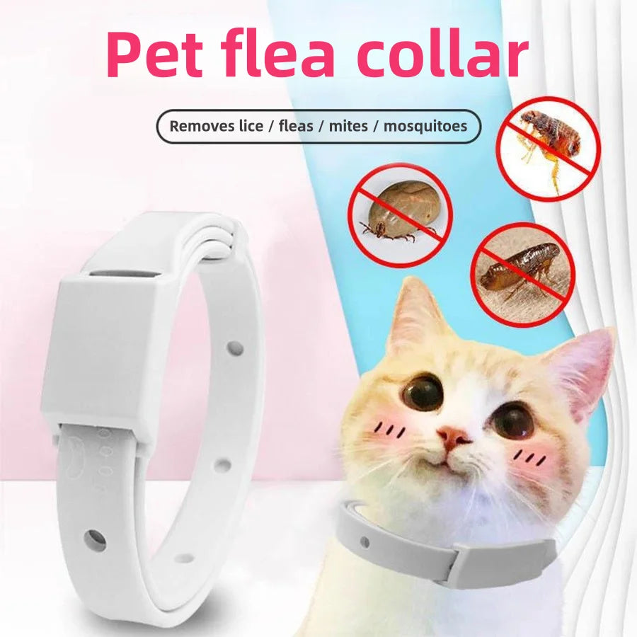 PurrSafe™ Cat Collar – Long-Lasting Flea & Parasite Defence