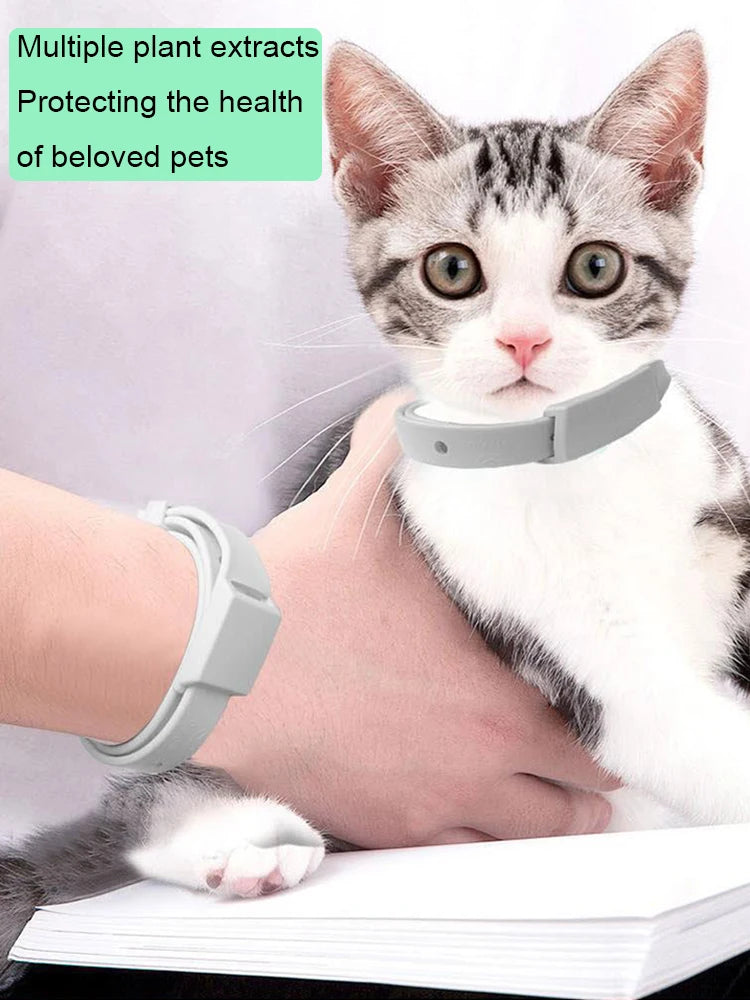 PurrSafe™ Cat Collar – Long-Lasting Flea & Parasite Defence