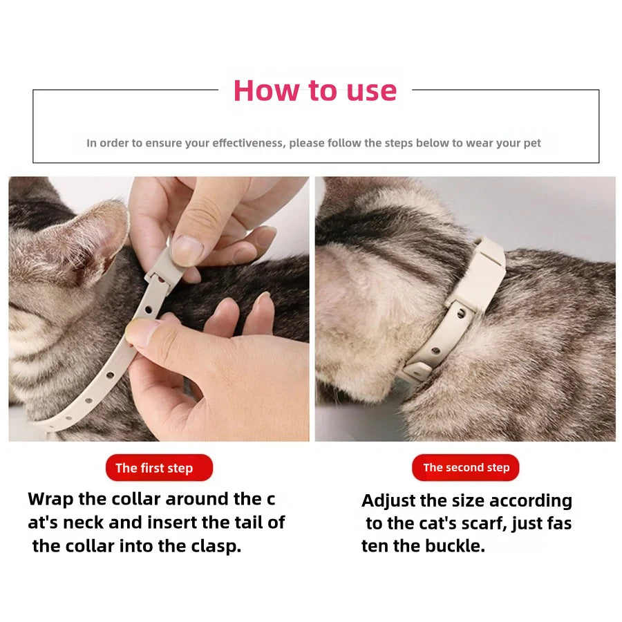 PurrSafe™ Cat Collar – Long-Lasting Flea & Parasite Defence