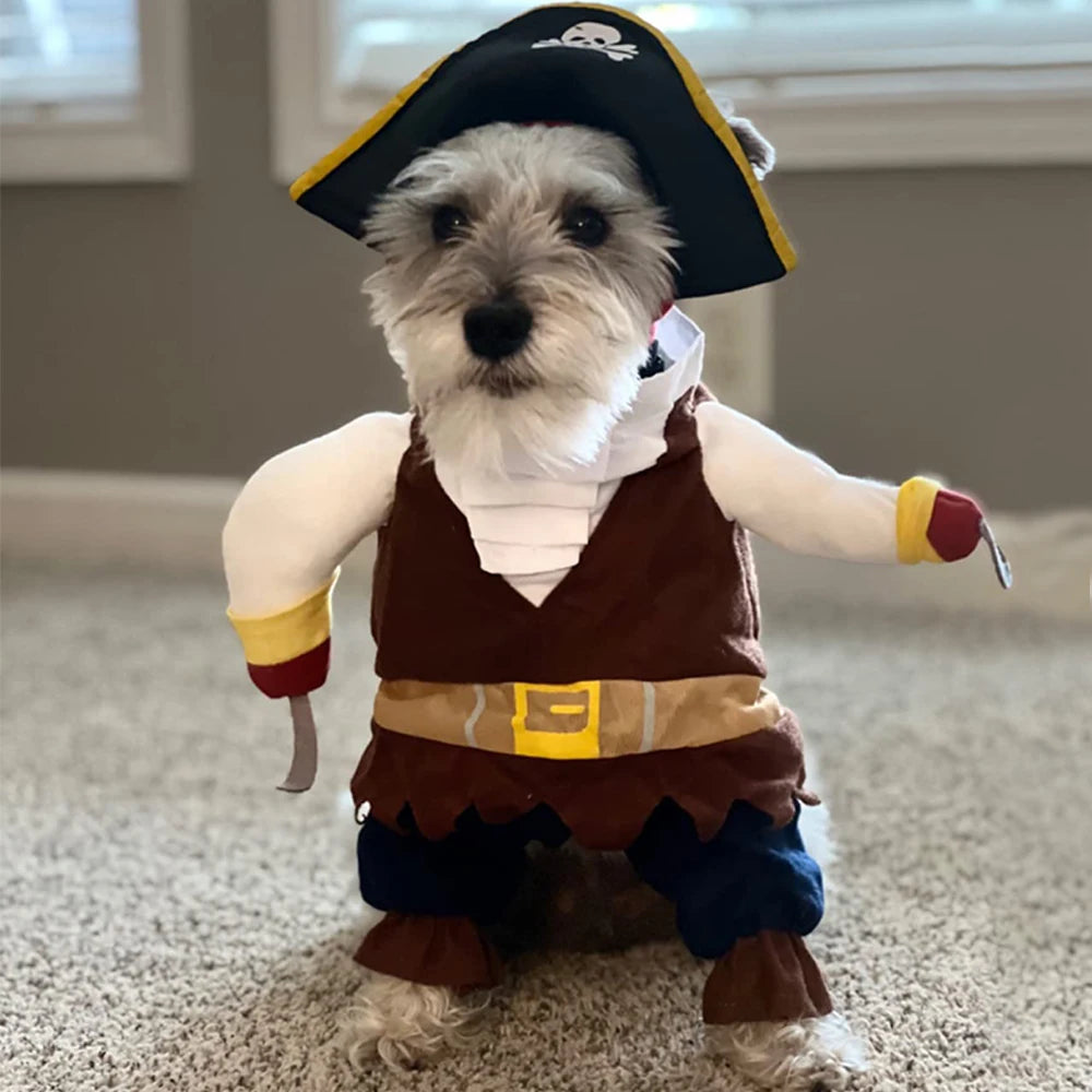 CaptainPaws™ – Pirate Costume for Cats & Small Dogs