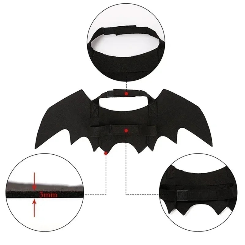 BatBuddy™ – Cute Black Bat Wings Costume for Cats & Dogs