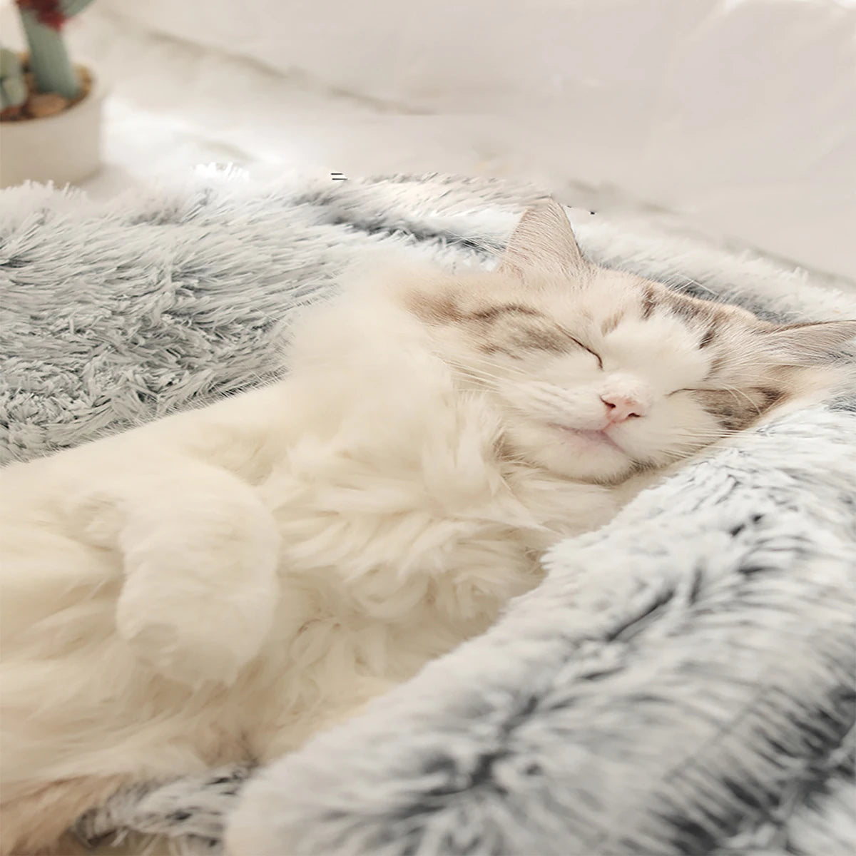 CalmWhiskers™ – Anti-Anxiety Round Cat Bed with Plush Cover