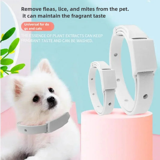PurrSafe™ Cat Collar – Long-Lasting Flea & Parasite Defence