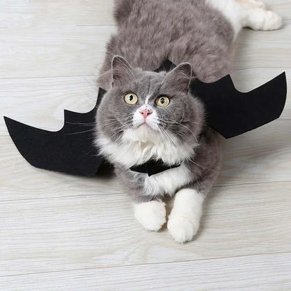 BatBuddy™ – Cute Black Bat Wings Costume for Cats & Dogs
