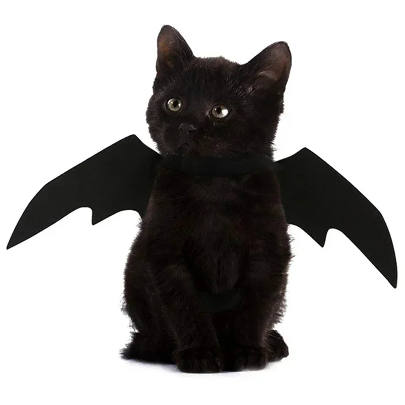 BatBuddy™ – Cute Black Bat Wings Costume for Cats & Dogs