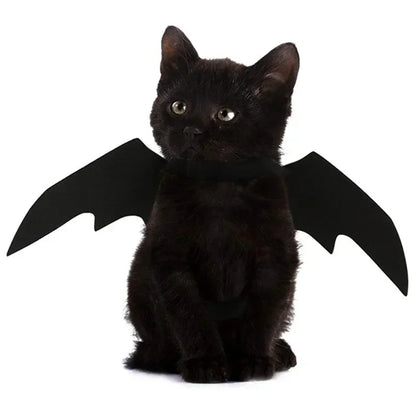 BatBuddy™ – Cute Black Bat Wings Costume for Cats & Dogs