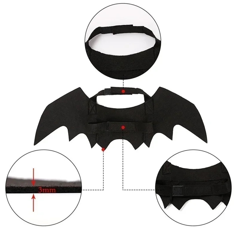 BatBuddy™ – Cute Black Bat Wings Costume for Cats & Dogs