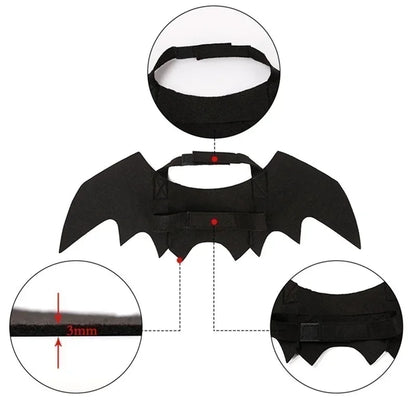 BatBuddy™ – Cute Black Bat Wings Costume for Cats & Dogs