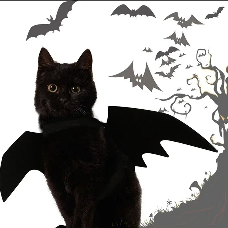 BatBuddy™ – Cute Black Bat Wings Costume for Cats & Dogs