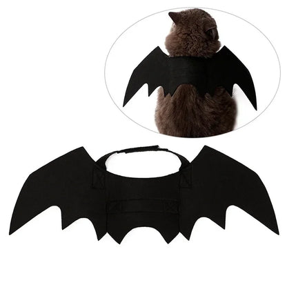 BatBuddy™ – Cute Black Bat Wings Costume for Cats & Dogs