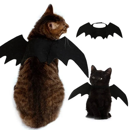 BatBuddy™ – Cute Black Bat Wings Costume for Cats & Dogs