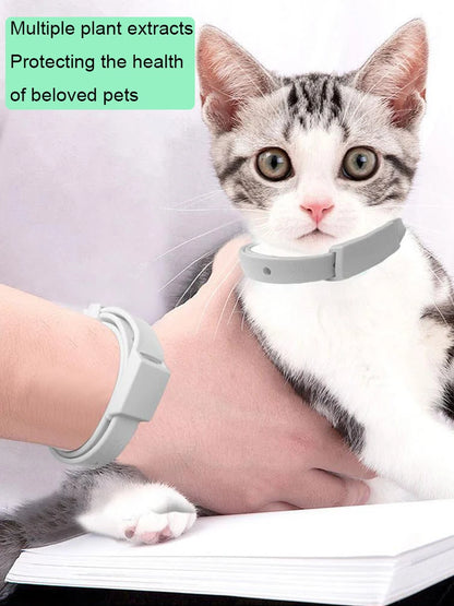 PurrSafe™ Cat Collar – Long-Lasting Flea & Parasite Defence
